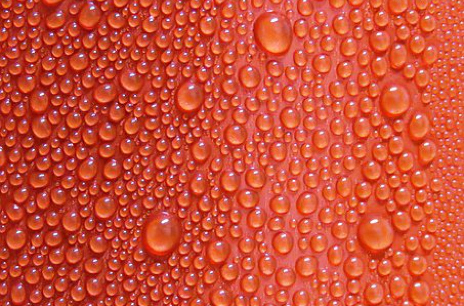 Kad prakaitas negadintų nuotaikos: padės sveika mityba ir vitaminai