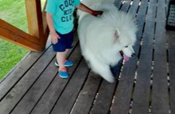 Skausmo ir sėkmės istorija: meningokokas įveikiamas! 