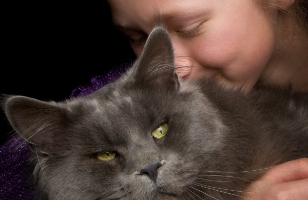 Tarptautinė kačių paroda Jonavos miesto šventės metu