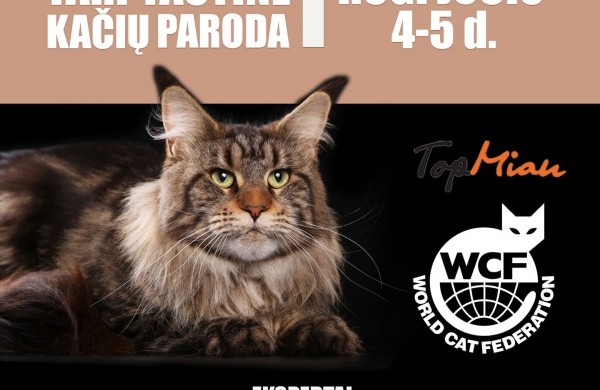 Tarptautinė kačių paroda Jonavos miesto šventės metu