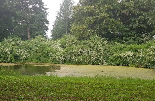 Kviečiu pakeliauti po Jonavos rajoną - Šilų ir Bukonių seniūnijos