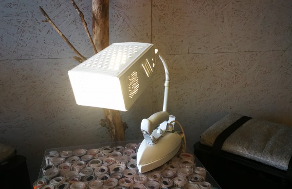 Namas ant ratų jonaviškius mokė tausoti aplinką