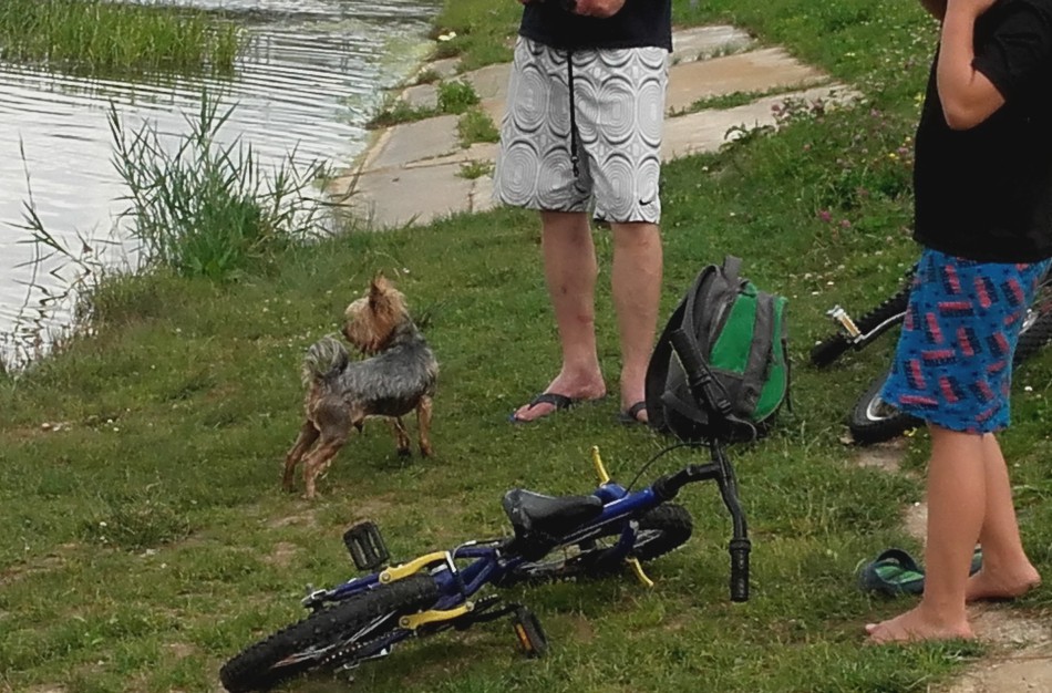 Jonavietė: „Ar paplūdimio taisyklės galioja visiems vienodai?“ 