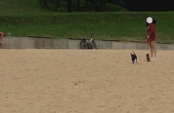 Jonavietė: „Ar paplūdimio taisyklės galioja visiems vienodai?“ 