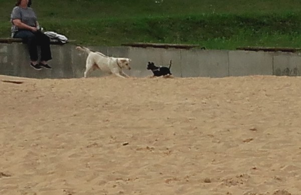 Jonavietė: „Ar paplūdimio taisyklės galioja visiems vienodai?“ 