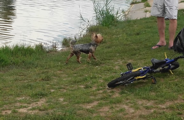 Jonavietė: „Ar paplūdimio taisyklės galioja visiems vienodai?“ 