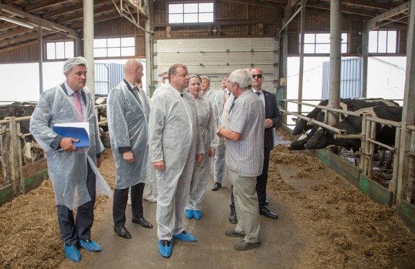 Premjeras: susipriešinimas žemės ūkio problemų neišspręs