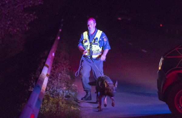 Girto vairuotojo „lakstymas“ baigėsi areštinėje