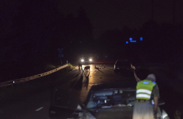 Girto vairuotojo „lakstymas“ baigėsi areštinėje