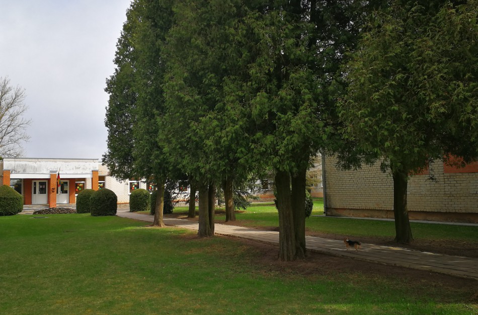 Vasara baigiasi: kaip padėti vaikams naujus mokslo metus pasitikti be streso?