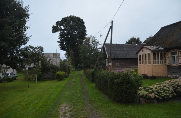 Vasaros palydos Saleninkuose