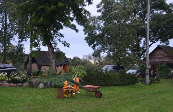 Vasaros palydos Saleninkuose