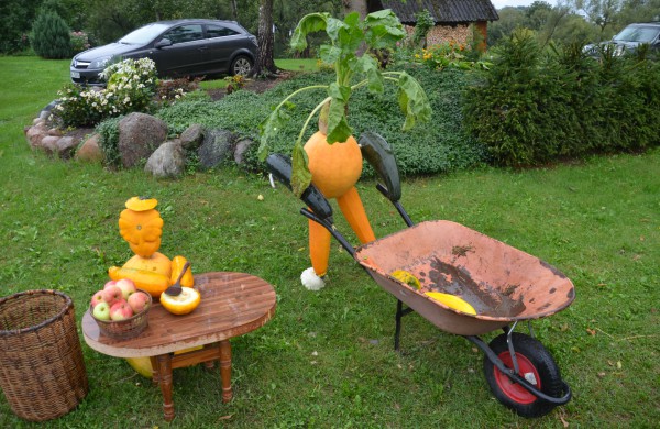 Vasaros palydos Saleninkuose