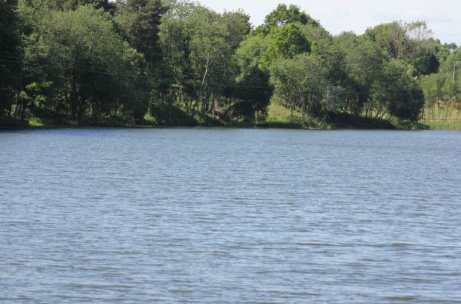 Vandens kokybė Jonavos rajono maudymosi vietose atitinka higienos reikalavimus