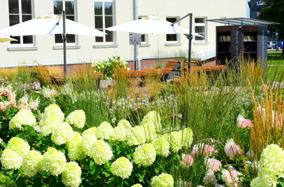 Jonavos viešosios bibliotekos rugsėjo mėnesio renginiai