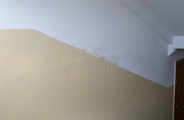 Dėl šiukšlių kaupikės kenčia ir kaimynai, ir tarnybos 