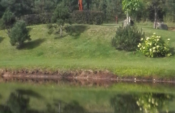 Jonavos rajone išrinkta gražiausia sodyba