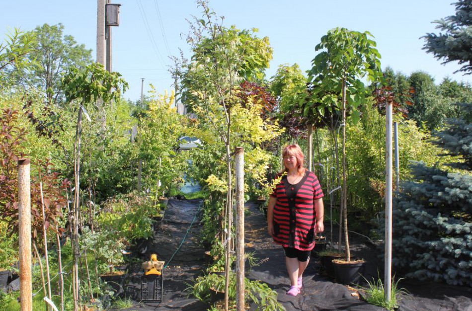 Vietoje krapų ir pomidorų – dekoratyviniai augalai