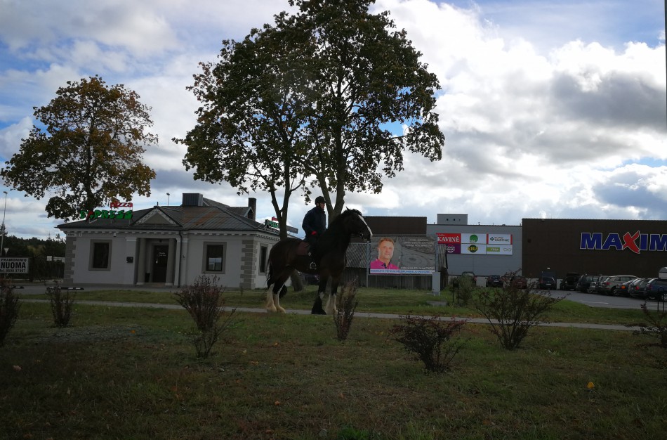 Jonavietis: "Miesto gatvėse raitelis ant žirgo – ar tai pokštas ar raitoji policija?" 