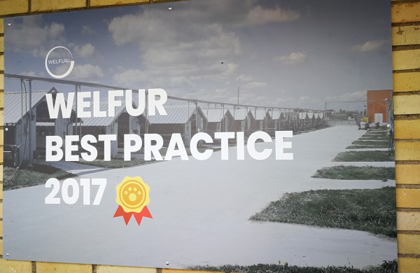 Kailinių žvėrelių ūkis - paneigta informacija dėl kankinamų gyvūnų bei sklindančio dvoko