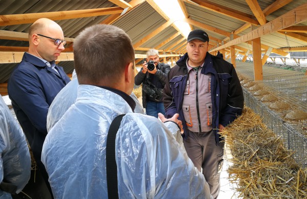 Kailinių žvėrelių ūkis - paneigta informacija dėl kankinamų gyvūnų bei sklindančio dvoko
