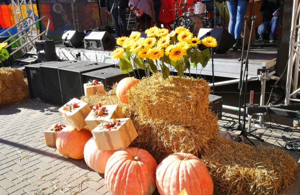 Atgijęs Jonavos senamiestis