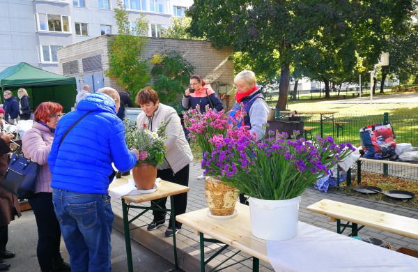 Atgijęs Jonavos senamiestis