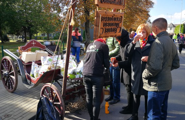 Atgijęs Jonavos senamiestis