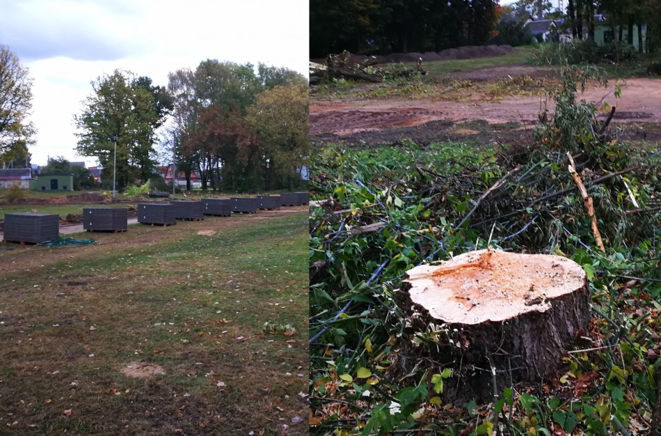 Kodėl Ramybės skvere staigiai pradėta šalinti medžius?