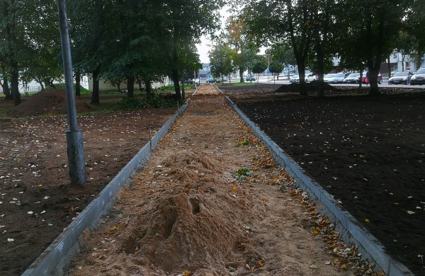 Kodėl Ramybės skvere staigiai pradėta šalinti medžius?