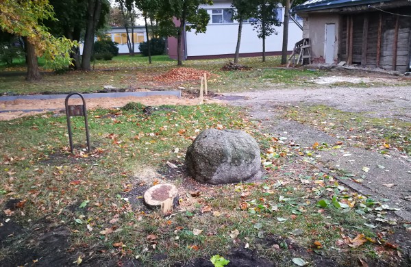 Kodėl Ramybės skvere staigiai pradėta šalinti medžius?