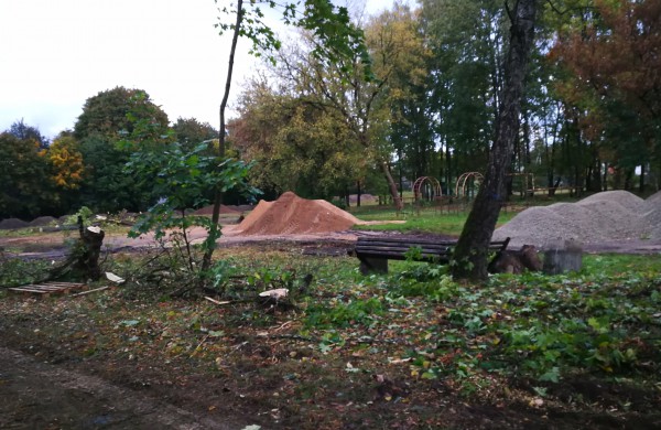 Kodėl Ramybės skvere staigiai pradėta šalinti medžius?