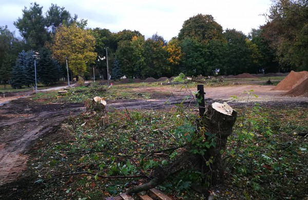 Kodėl Ramybės skvere staigiai pradėta šalinti medžius?