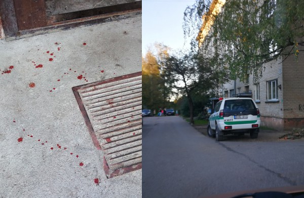 Kruvinos išgertuvės Rukloje – į „darbą“ paleisti kumščiai ir peilis