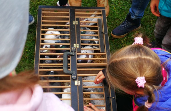 Vaikų rankomis į dangų paleisti pašto karveliai
