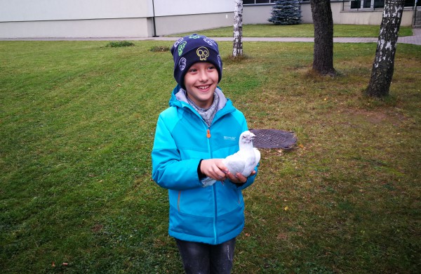 Vaikų rankomis į dangų paleisti pašto karveliai