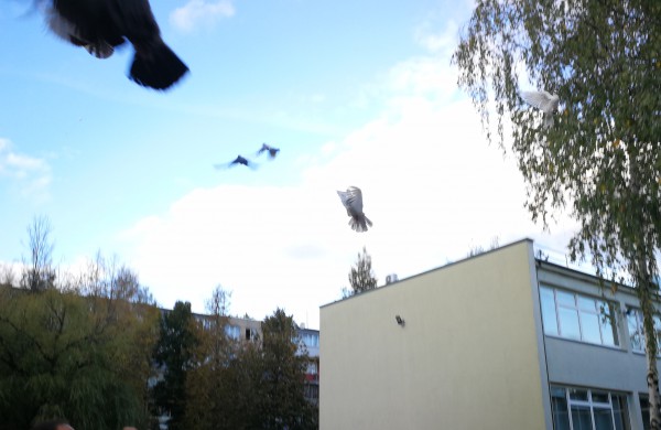 Vaikų rankomis į dangų paleisti pašto karveliai