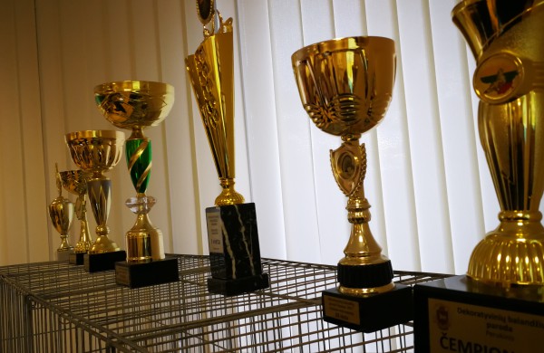 Vaikų rankomis į dangų paleisti pašto karveliai