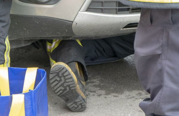 Kačiuko gelbėjimo operacija 