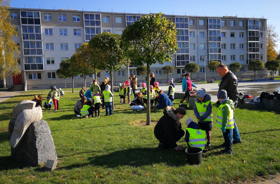 Šiandien pasodinta 3 tūkstančiai Krokų svogūnėlių