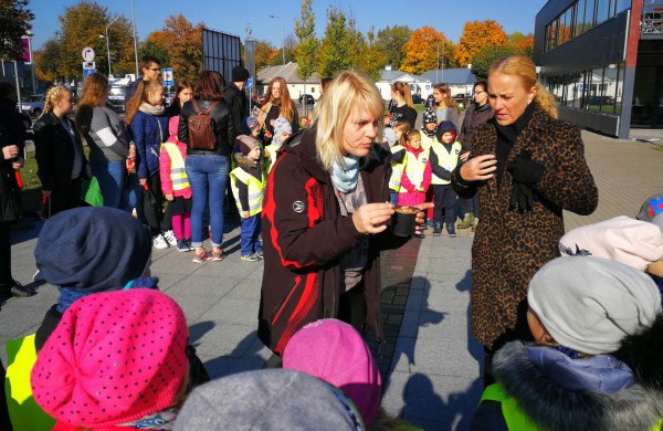 Šiandien pasodinta 3 tūkstančiai Krokų svogūnėlių