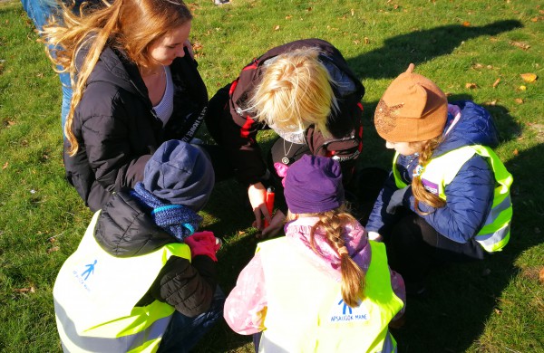 Šiandien pasodinta 3 tūkstančiai Krokų svogūnėlių