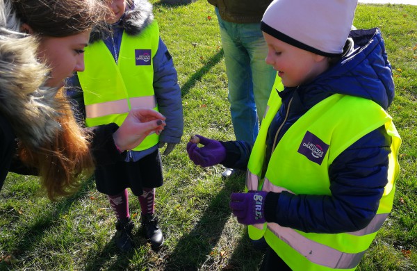 Šiandien pasodinta 3 tūkstančiai Krokų svogūnėlių