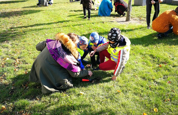 Šiandien pasodinta 3 tūkstančiai Krokų svogūnėlių