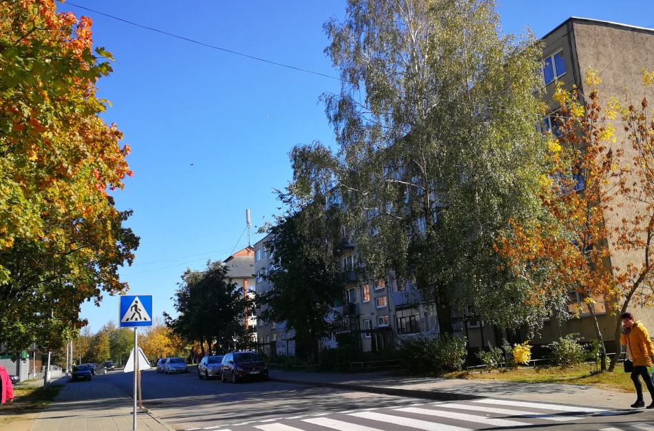 Kosmonautų g. gyventojas: „Ar saugu virš perėjos laikinai įrengtas elektros kabelis važiuojamoje kelio dalyje?“