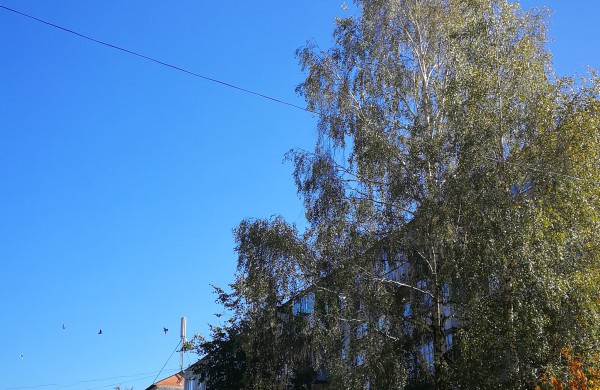 Kosmonautų g. gyventojas: „Ar saugu virš perėjos laikinai įrengtas elektros kabelis važiuojamoje kelio dalyje?“