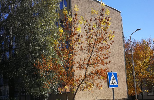 Kosmonautų g. gyventojas: „Ar saugu virš perėjos laikinai įrengtas elektros kabelis važiuojamoje kelio dalyje?“