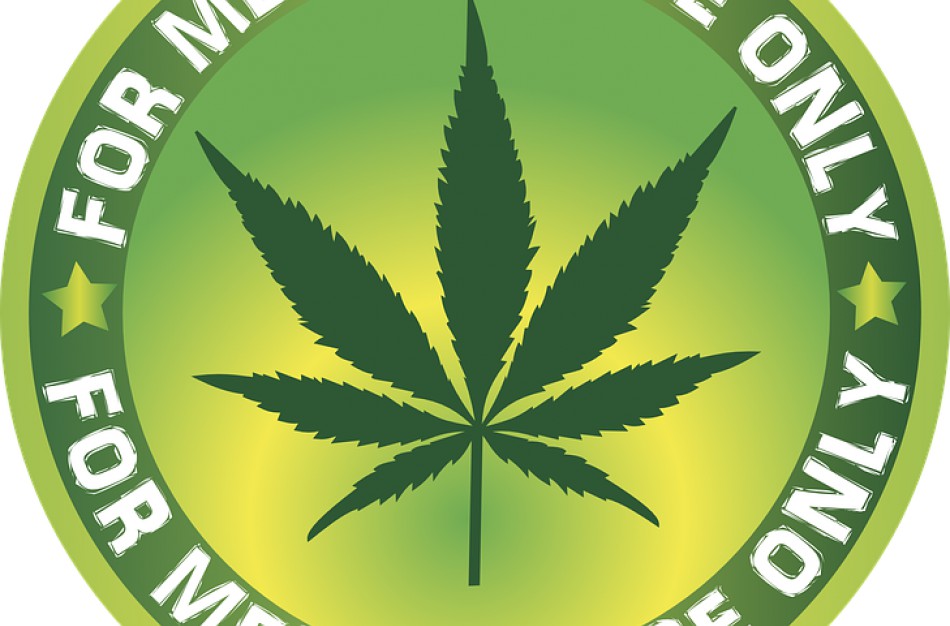 Medicininės kanapės pagaliau bus prieinamos ir Lietuvoje