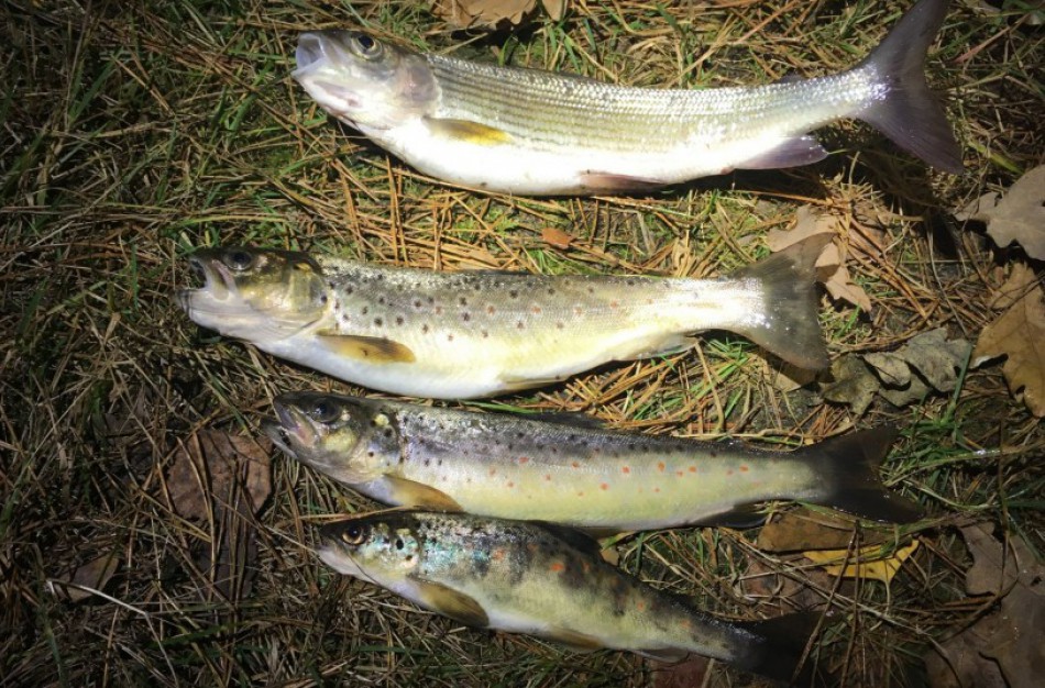 Žvejai rizikuoja ir vis dar „bando savo laimę“