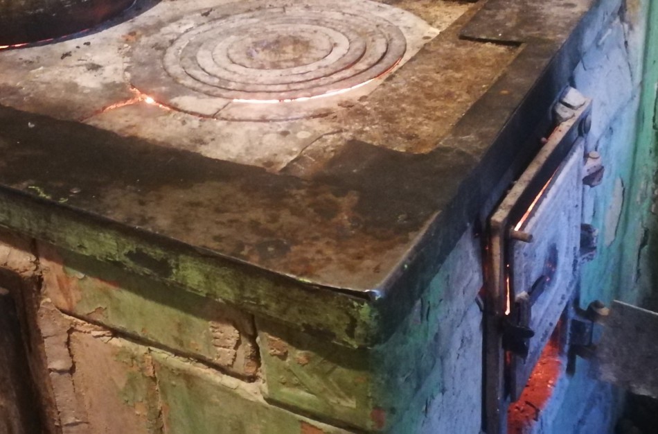 Po gaisro garaže rastas negyvas šuo